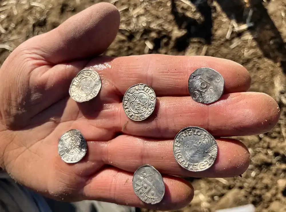 Monedas de plata medievales recién descubiertas durante la excavación del mayor tesoro monetario vikingo hallado en Noruega cerca de Rena.