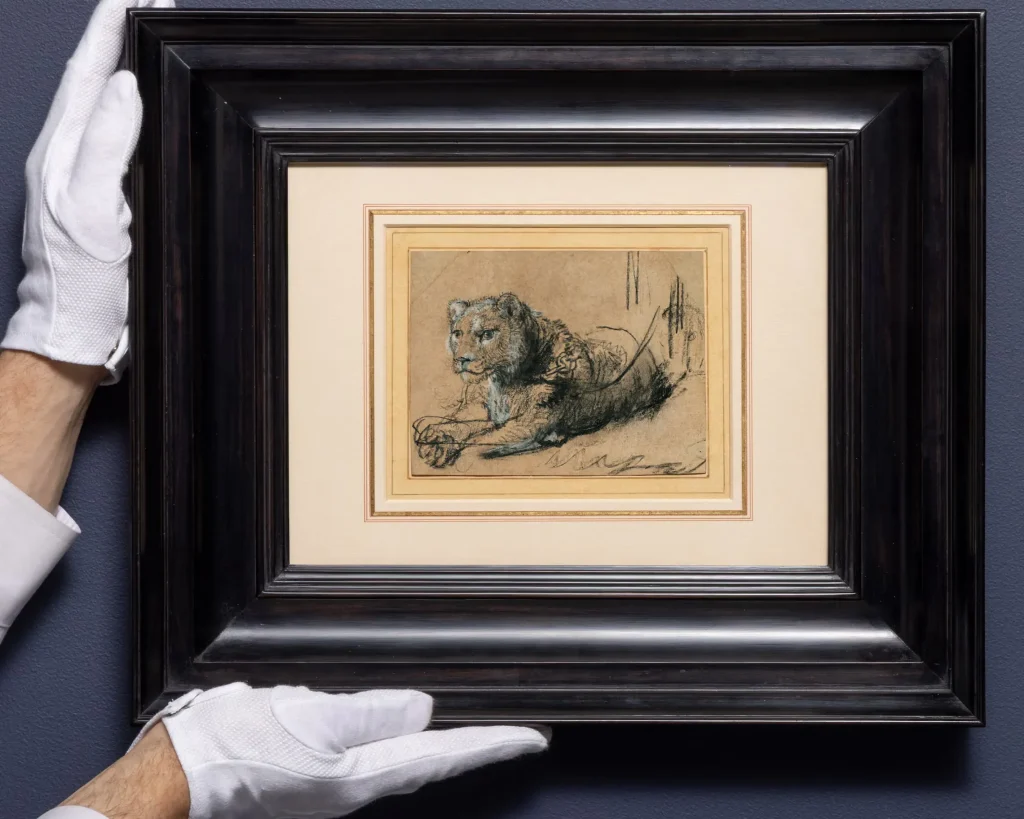 Dibujo Young Lion Resting de Rembrandt enmarcado y sostenido con guantes blancos antes de su venta récord en una subasta pública.