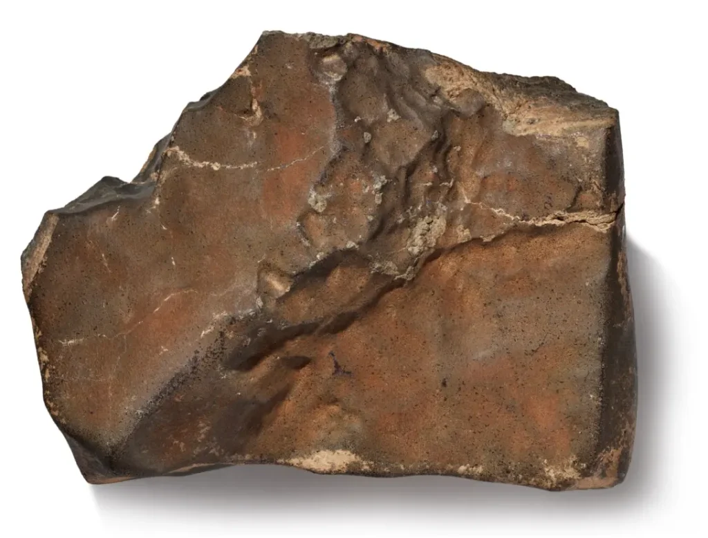 Meteorito marciano NWA 16788 de 24.67 kg, el mayor fragmento individual de Marte conocido